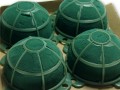 Turtle midi