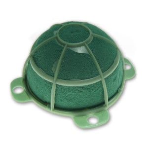 Turtle mini