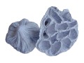 lotos_mini_bialy_1.jpg