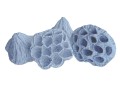 lotos_mini_bialy_2.jpg