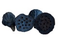 lotos_mini_2.jpg
