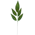Lisc_1ramienny_5lisci_podłużny_jasne żebra_55cm_3.png