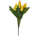 tulipany_zolte_1.png