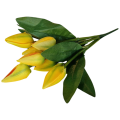 tulipany_zolte_2.png