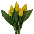tulipany_zolte_3.png